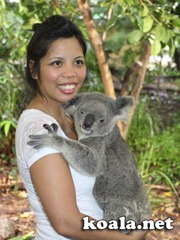 Donna Vitan and her koala Serenity, Lone Pine Koala Sanctuary