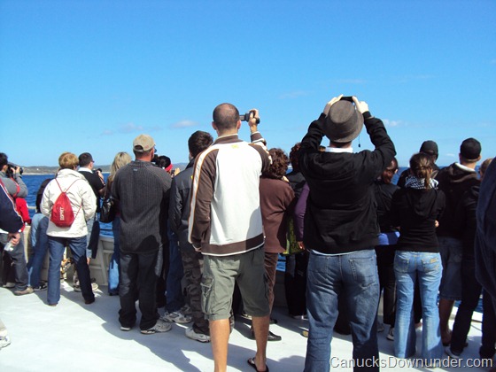 View of the crowd and Jason whale watching