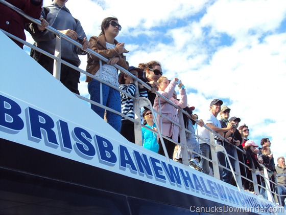 View of the crowd whale watching