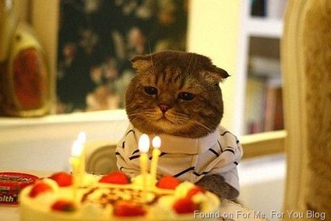 Kitty with birthday cake